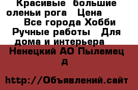 Красивые  большие оленьи рога › Цена ­ 3 000 - Все города Хобби. Ручные работы » Для дома и интерьера   . Ненецкий АО,Пылемец д.